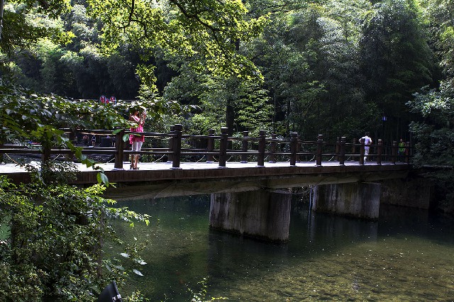 拼多多补单软件