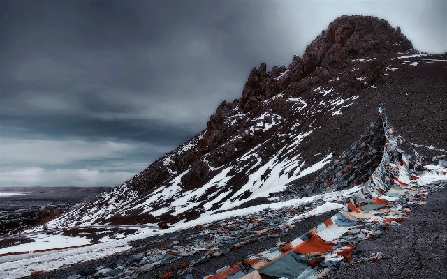 拼多多补单软件