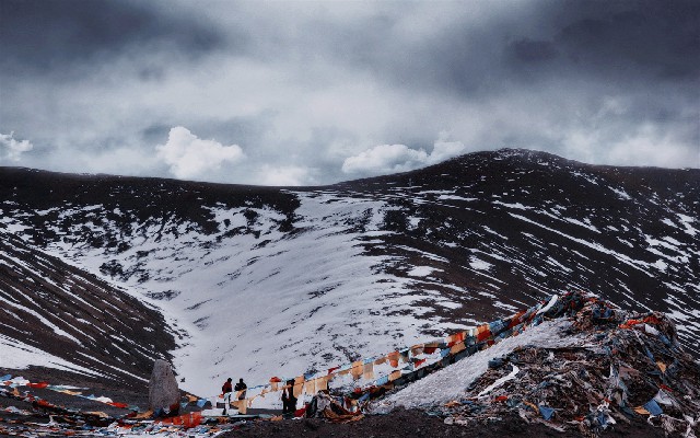 拼多多补单软件
