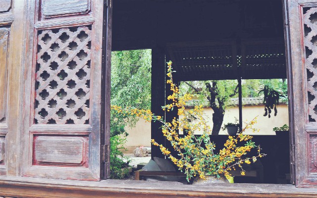 拼多多补单软件