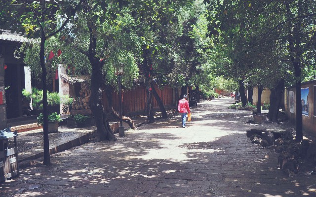 拼多多补单软件