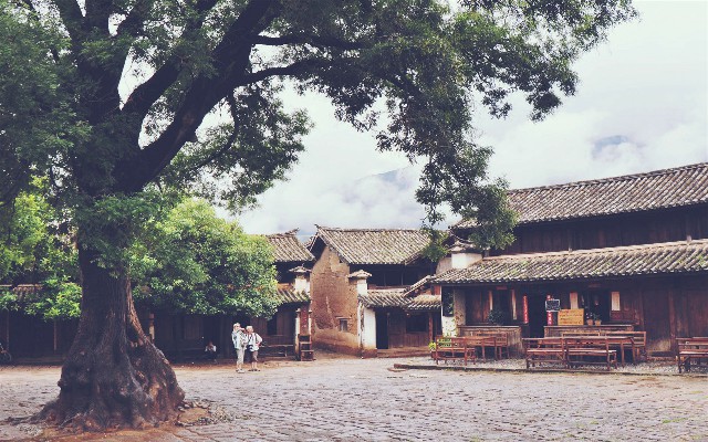 拼多多补单软件