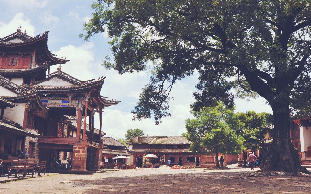 拼多多补单软件