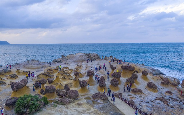 拼多多补单软件