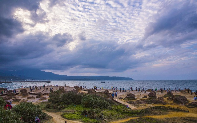 拼多多补单软件