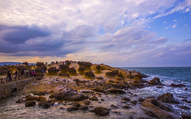 拼多多补单软件