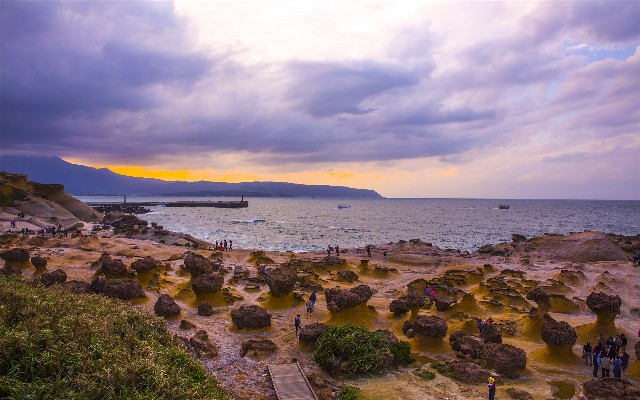 拼多多补单软件