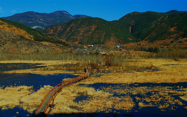 拼多多补单软件