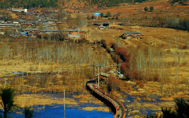 拼多多补单软件