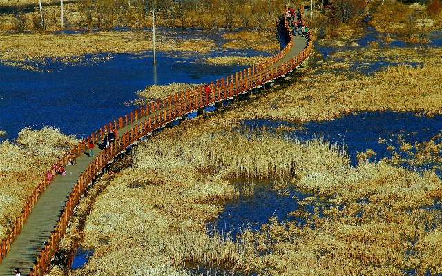 拼多多补单软件