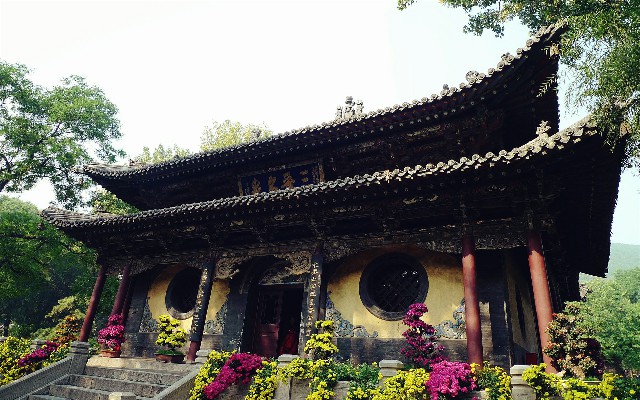 拼多多补单软件