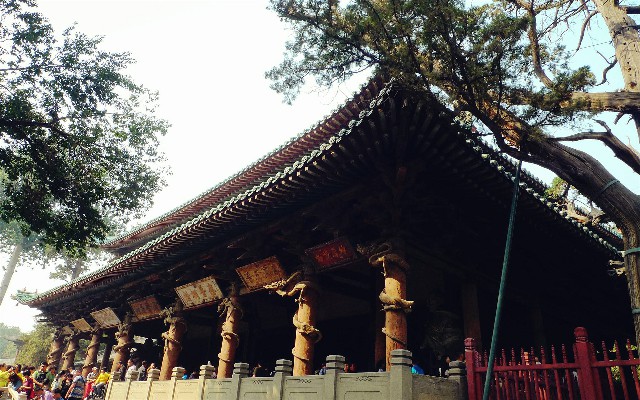 拼多多补单软件