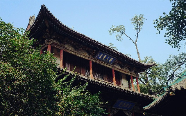 拼多多补单软件