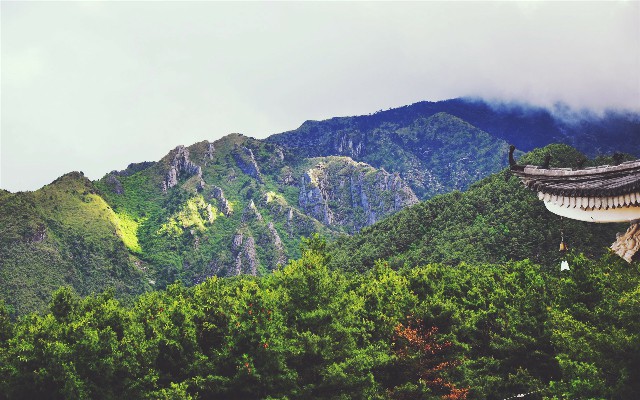 拼多多补单软件