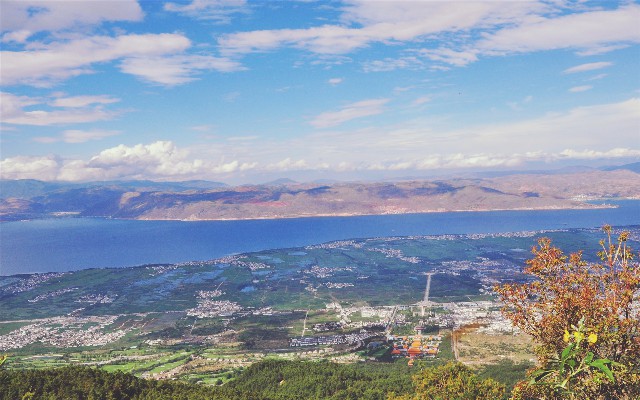 拼多多补单软件