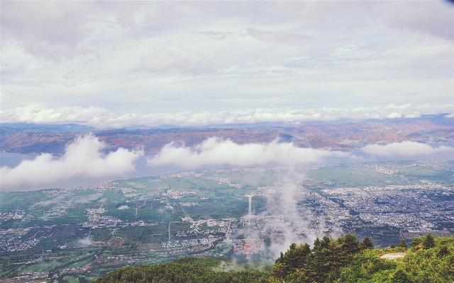 拼多多补单软件