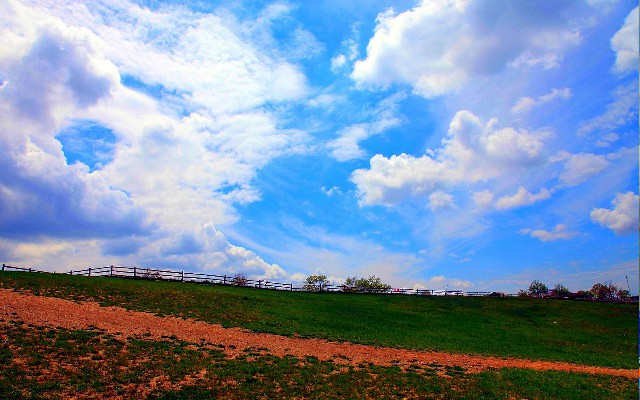 拼多多补单软件