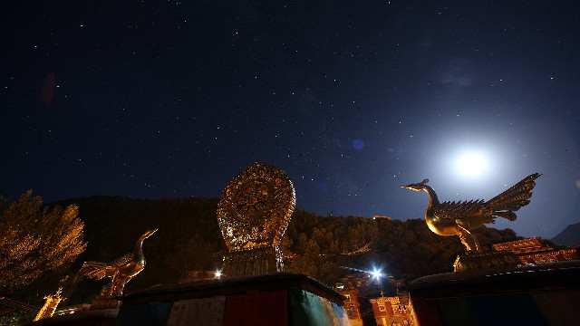 拼多多补单软件