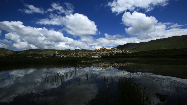 拼多多补单软件