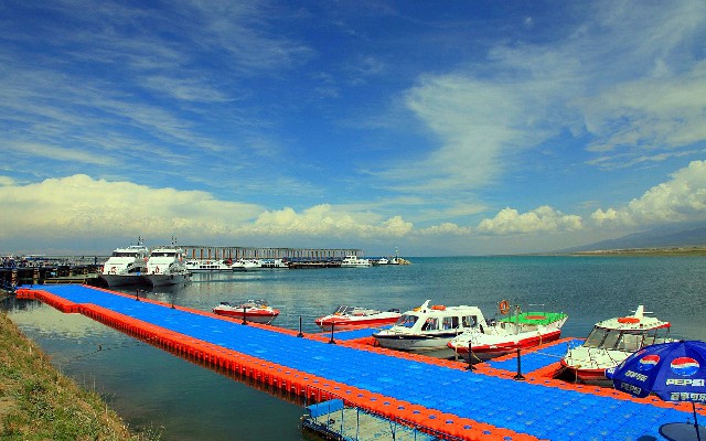 拼多多补单软件