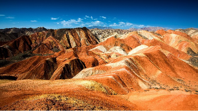 拼多多补单软件