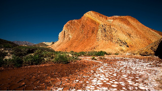 拼多多补单软件