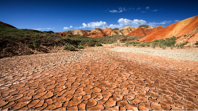 拼多多补单软件