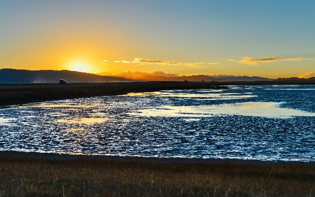拼多多补单软件