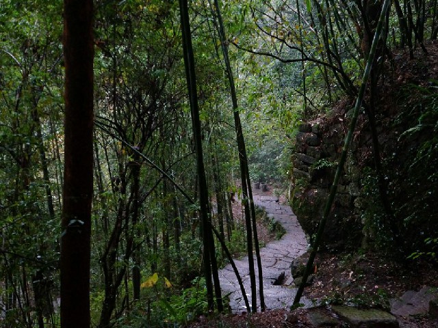 拼多多补单软件