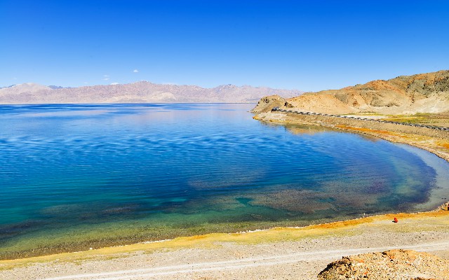 拼多多补单软件