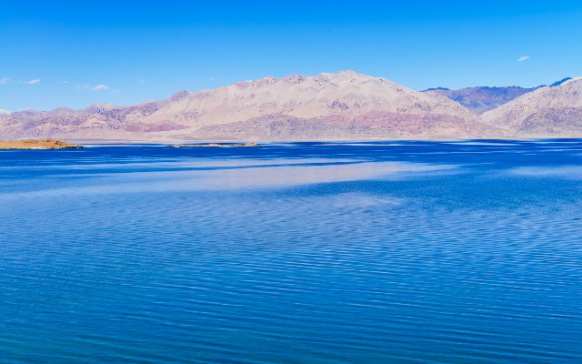 拼多多补单软件