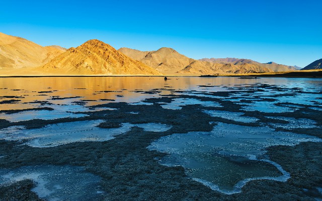 拼多多补单软件