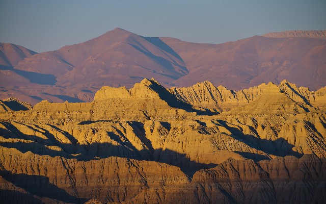 拼多多补单软件