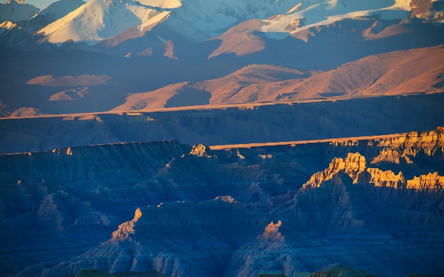 拼多多补单软件