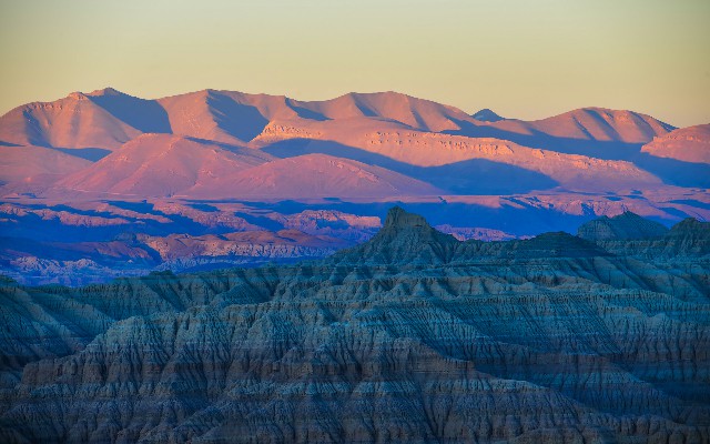 拼多多补单软件