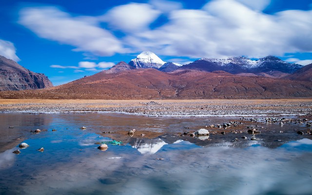 拼多多补单软件