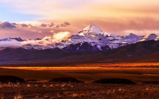 拼多多补单软件