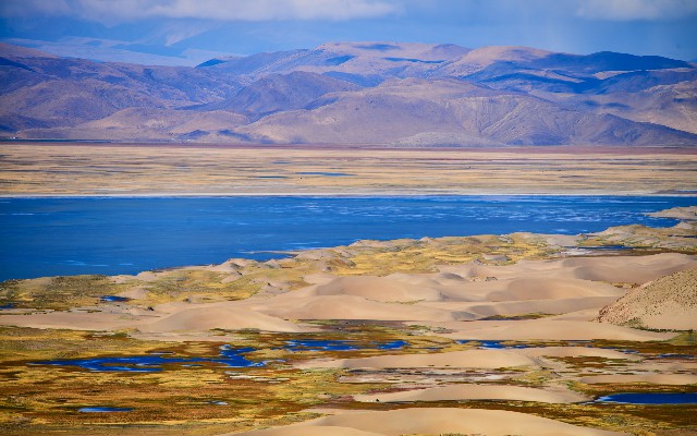 拼多多补单软件