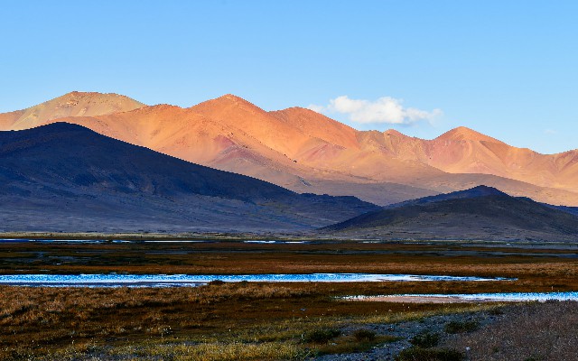 拼多多补单软件