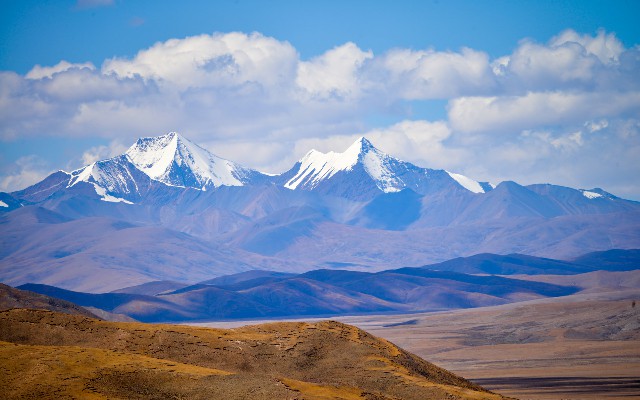 拼多多补单软件