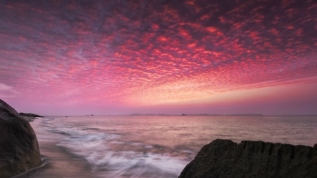 拼多多补单软件