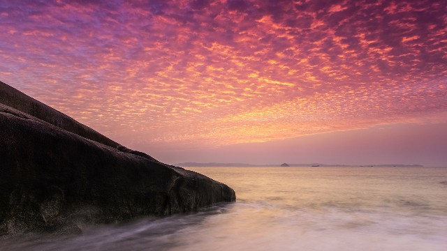 拼多多补单软件