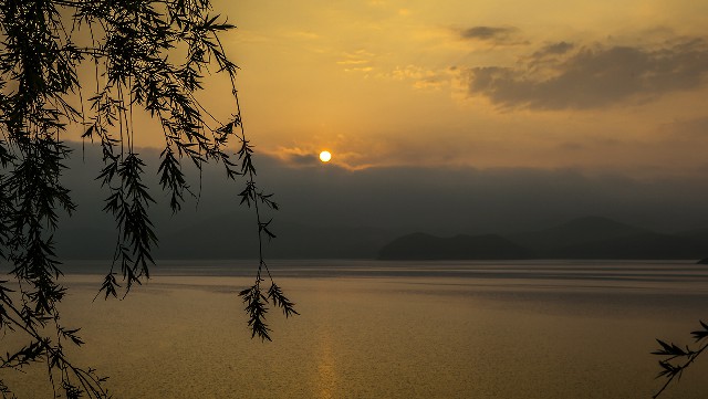 拼多多补单软件