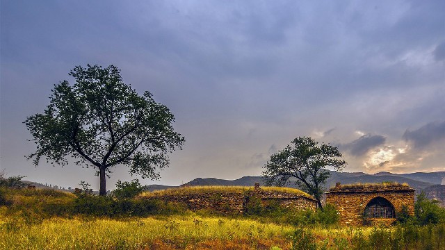 拼多多补单软件