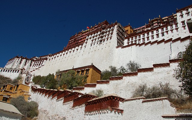 拼多多补单软件