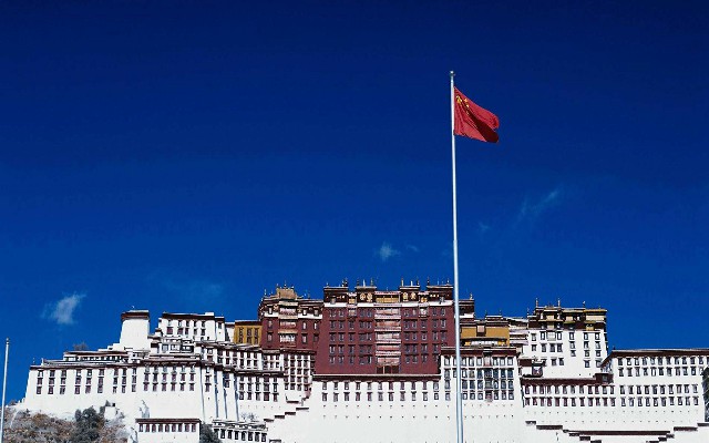 拼多多补单软件