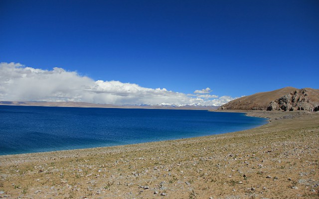 拼多多补单软件