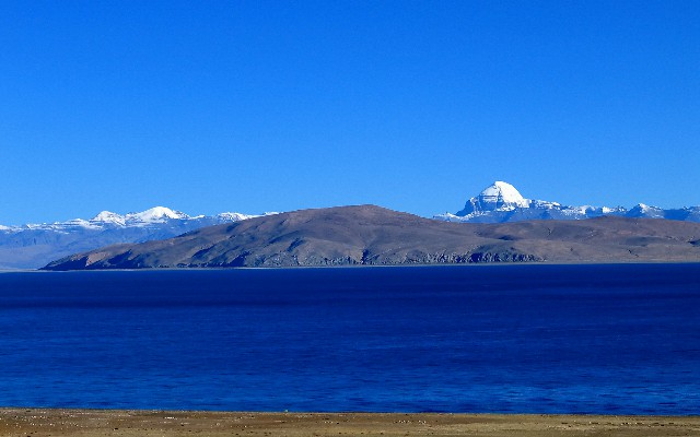 拼多多补单软件