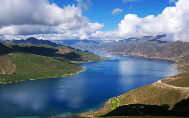 拼多多补单软件