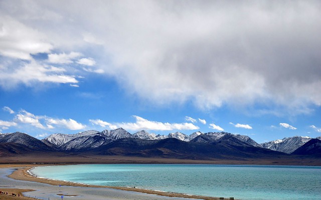 拼多多补单软件